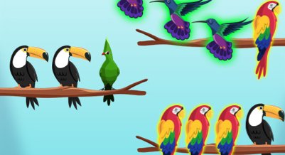 Bird Sort Challenges - Y8 games,y8 games,free games,h5 game, free play,free y8 games